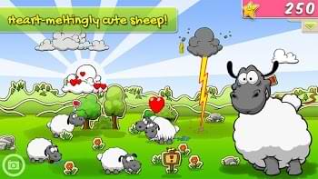 Heart melting cute sheeps