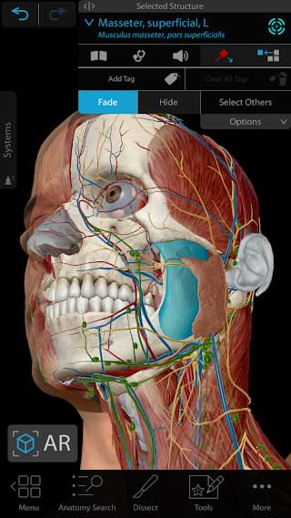 Best 3D anatomy app for Android