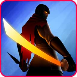 Ninja Raiden Revenge Mod APK 1.6.0 (Infinite Money)