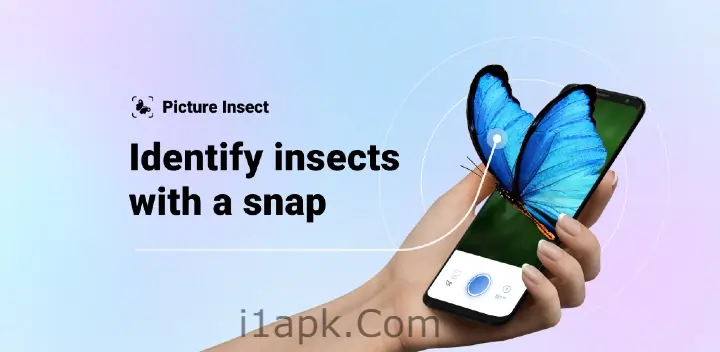 Picture Insect & Spider ID Premium apk
