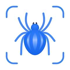 Download Picture Insect & Spider ID Premium 2.8.5 for Free