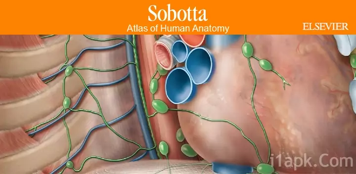 Sobotta Anatomy Mod apk download