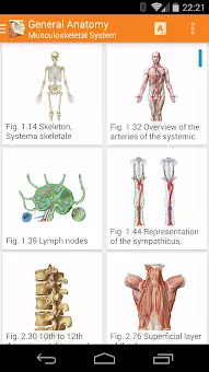 Learn various anatomy details