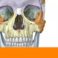 Download Sobotta Anatomy Full apk 2.10.6 for Android (Unlocked)