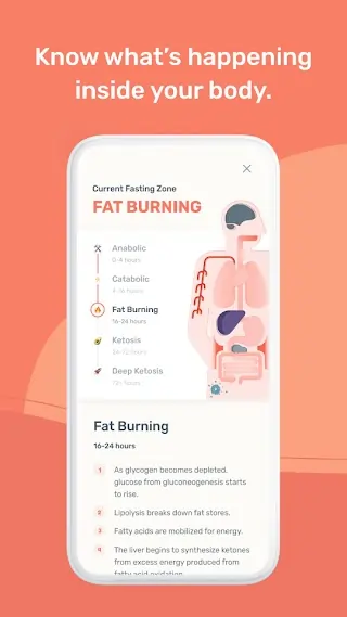 Zero - Simple Fasting Tracker Plus apk