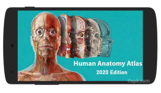 human Anatomy 2020 Android Software